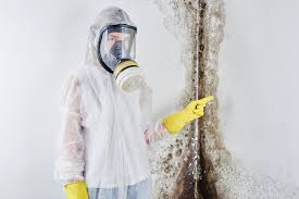 Best Industrial Mold Remediation  in Oak Grove, MN